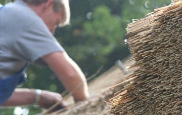 professional Todpool thatchers